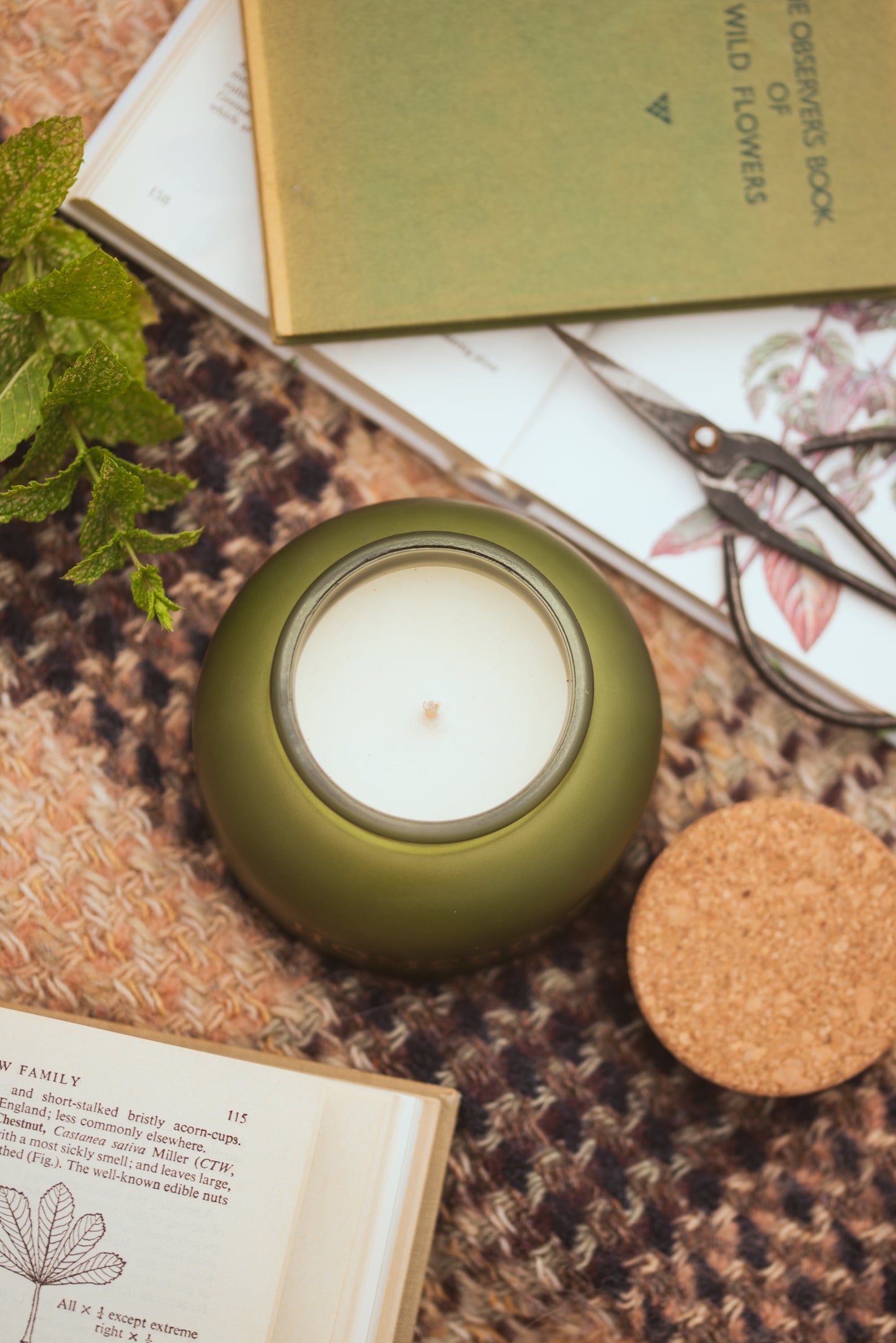 Mint & Eucalyptus Candle