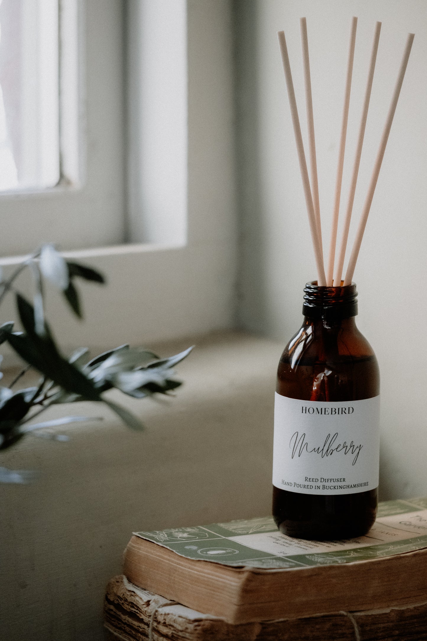Mulberry Reed Diffuser